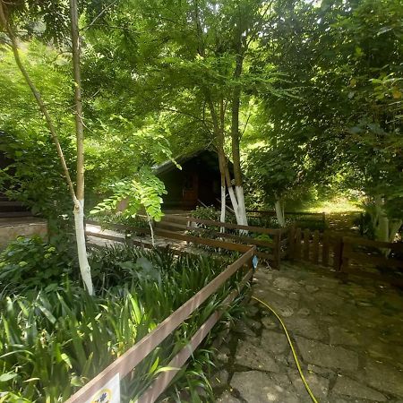 Villa Syri Kalter Sarandë 외부 사진